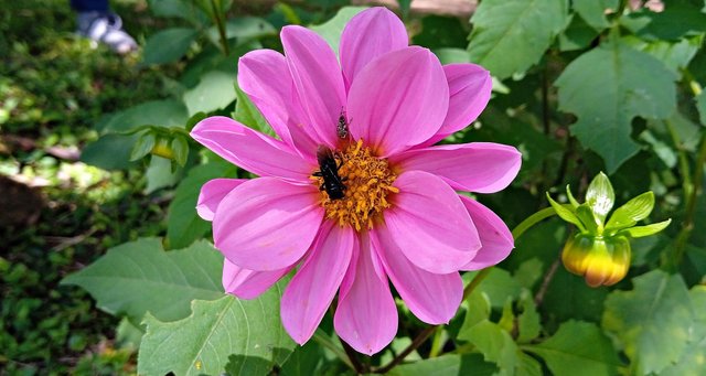 IMG_20240707_122934.jpg