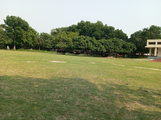 IMG_20250426_153539_215.jpg