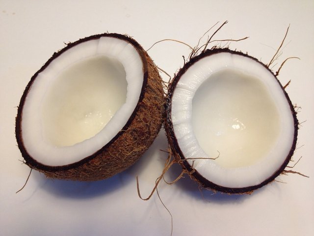 coconut-1771527_1280.jpg