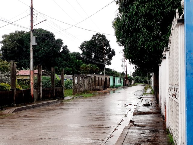 20250703_094734.jpg