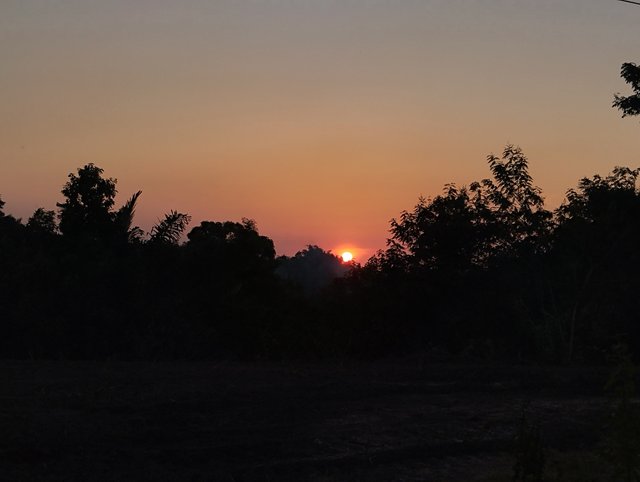 IMG_20250703_184313.jpg