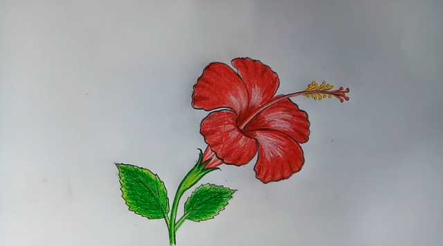 draw a hibiscus flower.PNG