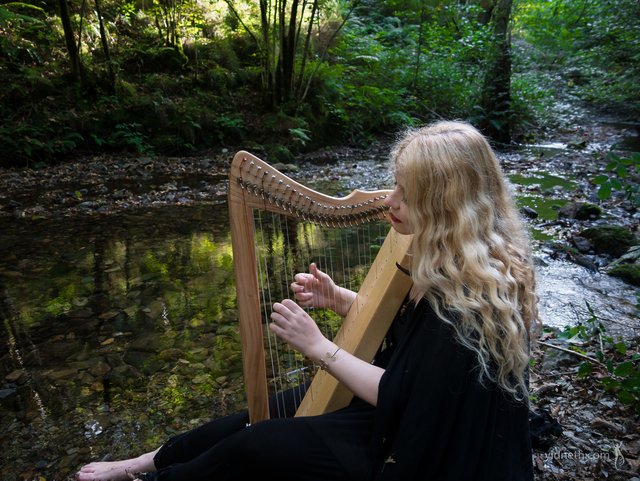 Priscilla Hernandez -harp -openmic101.jpg