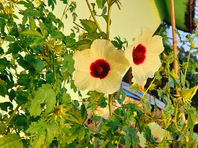 20231107_072630.jpg