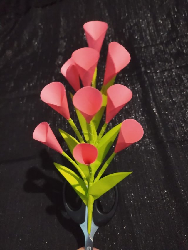 1000011101.jpg