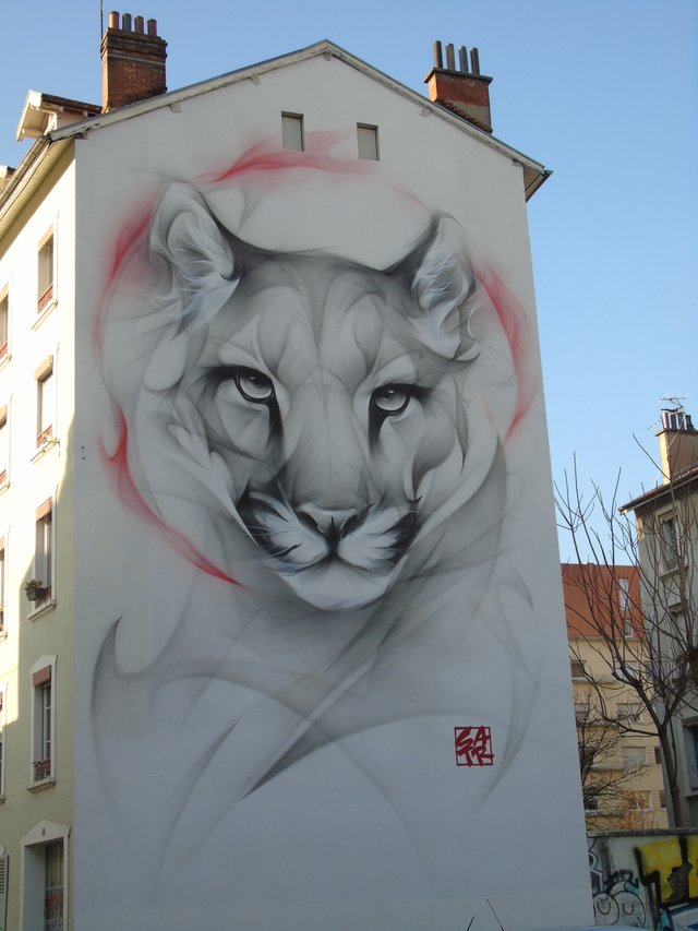DSC08497.JPG