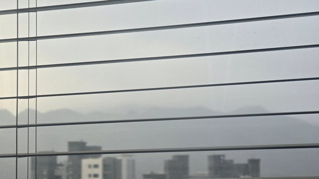 1000128791.jpg
