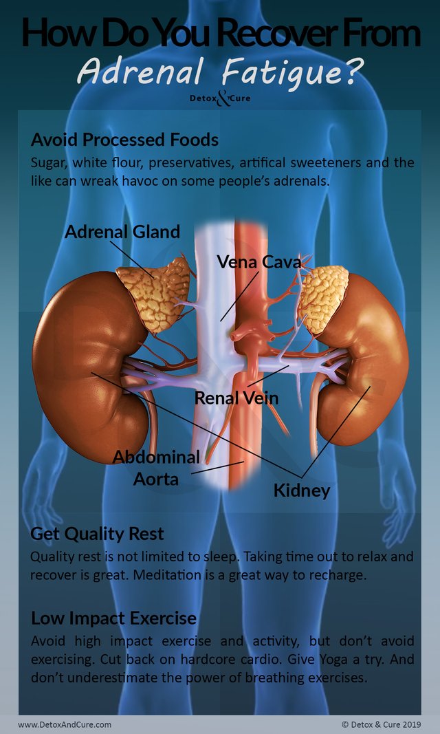 How Do You Recover From Adrenal Fatigue.jpg