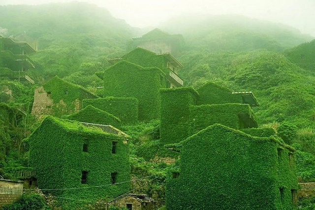 Abandoned fishing village in China overrun by nature.jpg