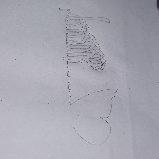 20251004_223259.jpg