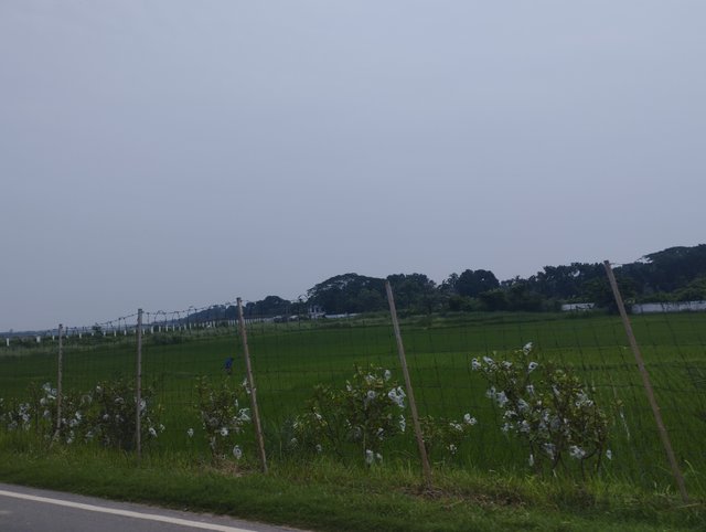 IMG_20230811_083359.jpg