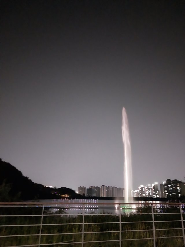 1000011403.jpg