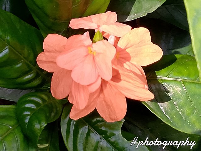 FotoGrid_20250804_200805501.jpg