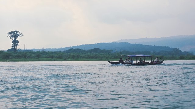 20250609_154448.jpg