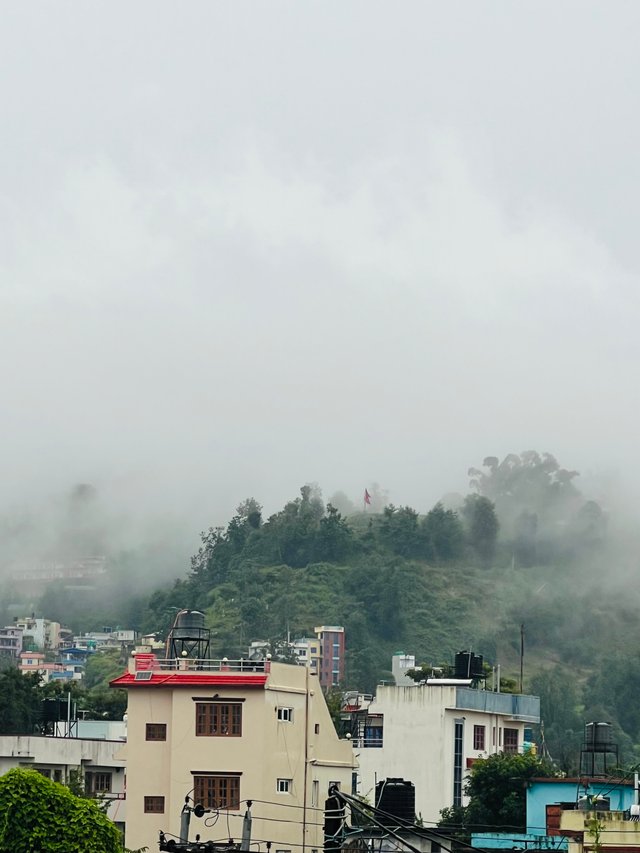 IMG_0528.jpeg