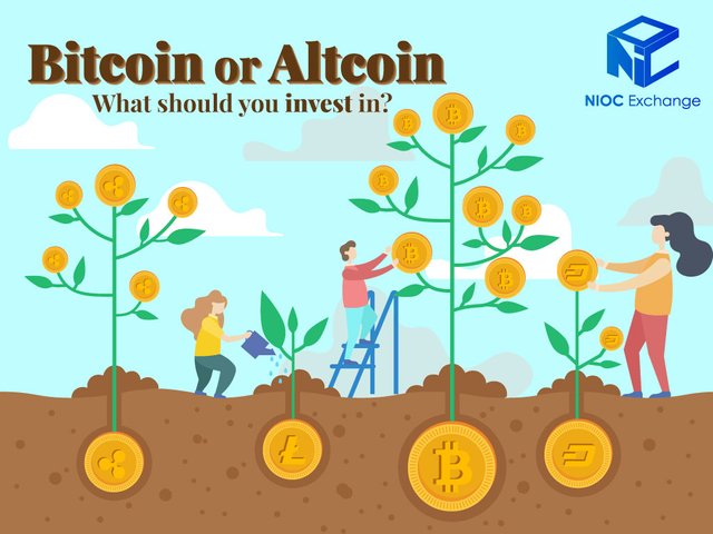 Bitcoin-or-Altcoins-NIOC-Exchange.jpg