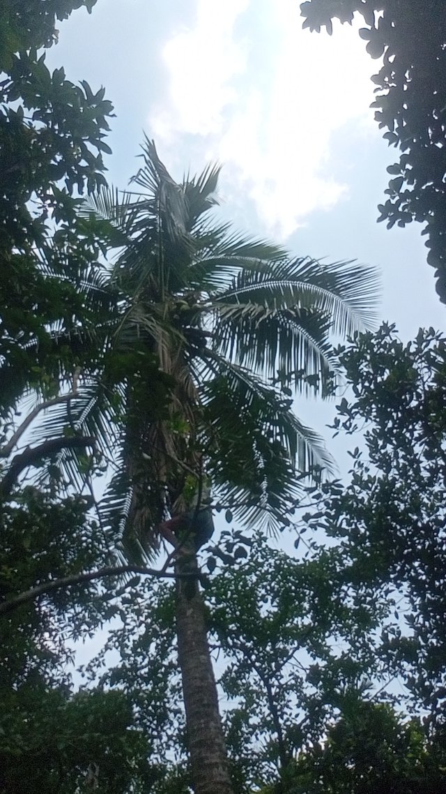 IMG20250609104845.jpg
