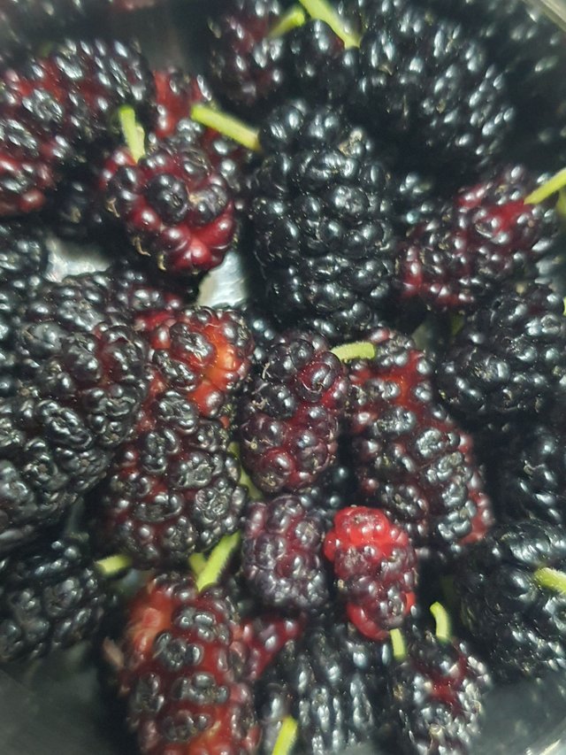 20250531_192918.jpg