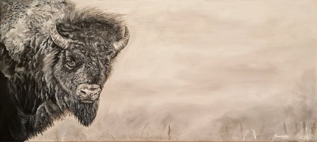 bison-for-prints.jpeg