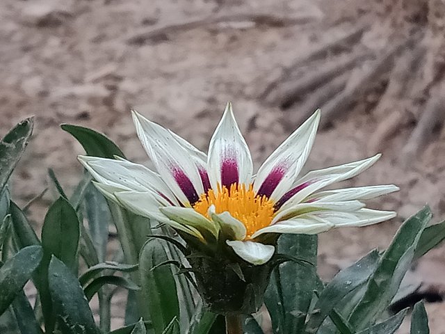 IMG20250401175912.jpg