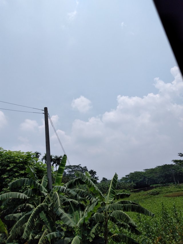 20250609_114914.jpg