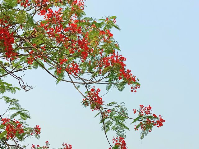 20250505_143944.jpg