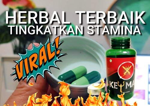 obat herbal penambah stamina pria dewasa.jpg