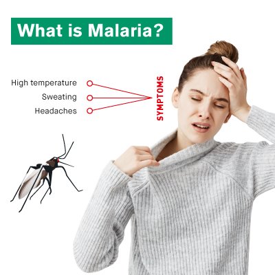 What-is-Malaria.jpg