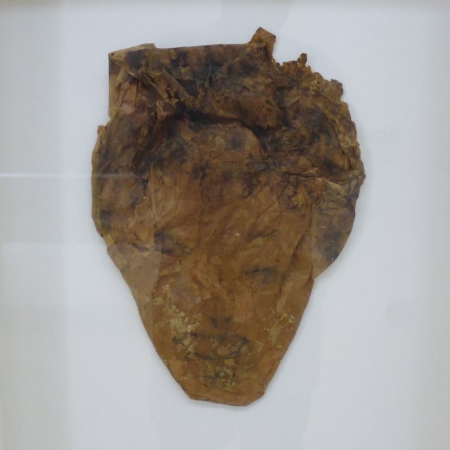 P1050654.jpg