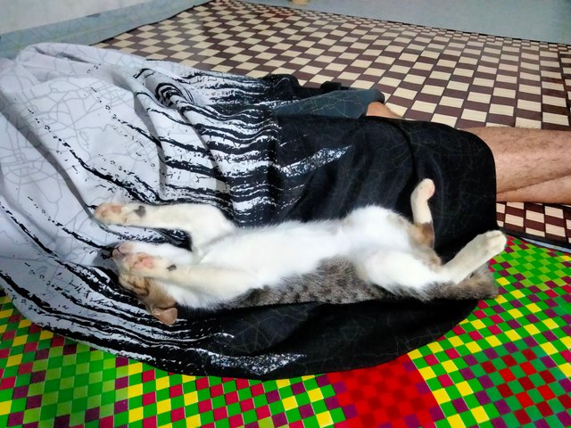 IMG20250608233251.jpg