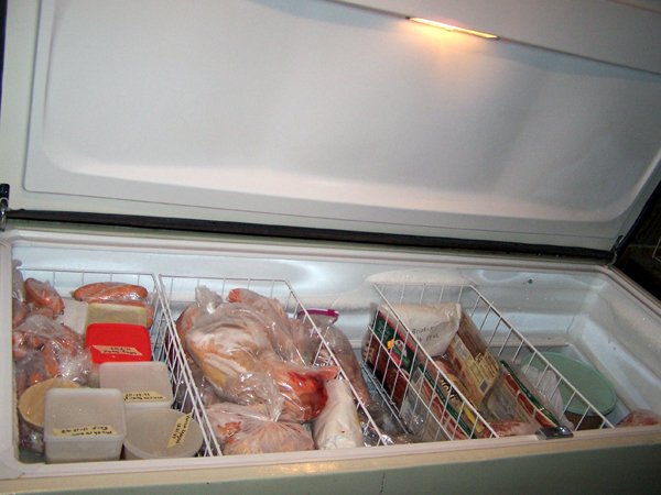 Big freezer crop Sept. 09.jpg