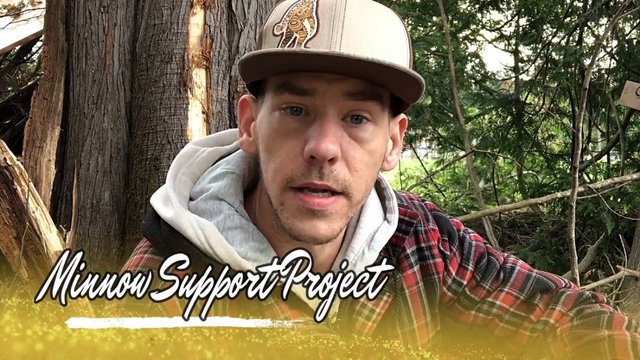 Minnow Support Project