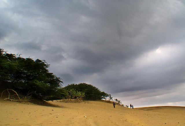 Medanos post-1200.jpg