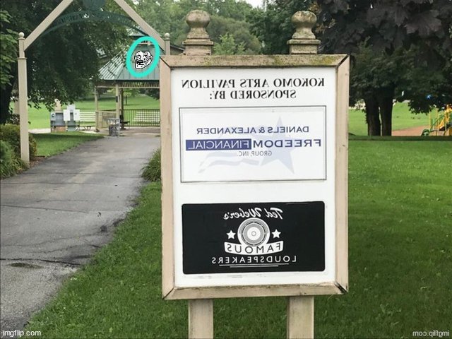 1000208288.jpg
