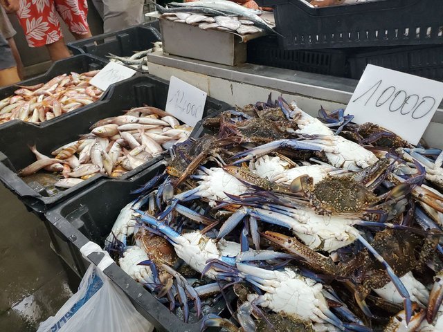 prix et poissons.jfif