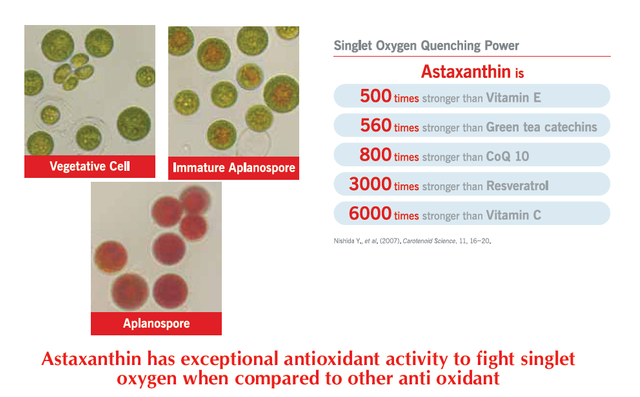 Astaxanthin.png