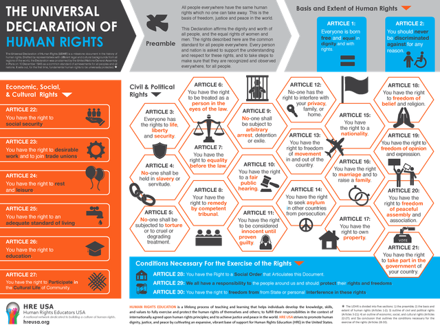 hre-usa-udhr-poster-honeycomb-2018-small.png