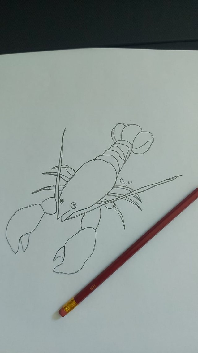 Lobster.jpeg