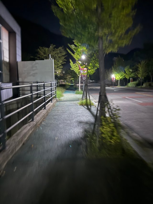 IMG_7806.jpeg