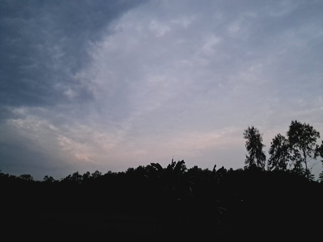 1000023141.jpg