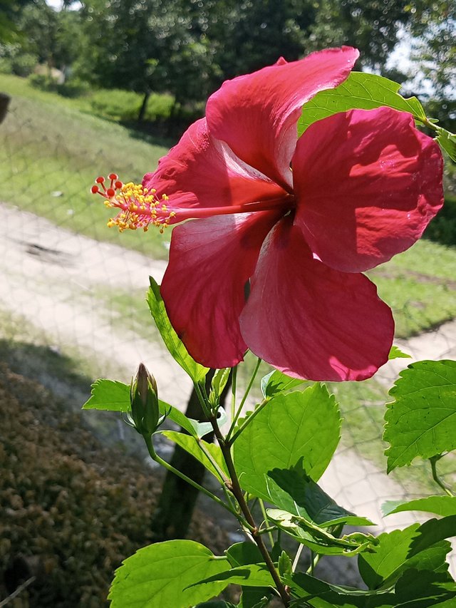 IMG_20250826_094839_012.jpg