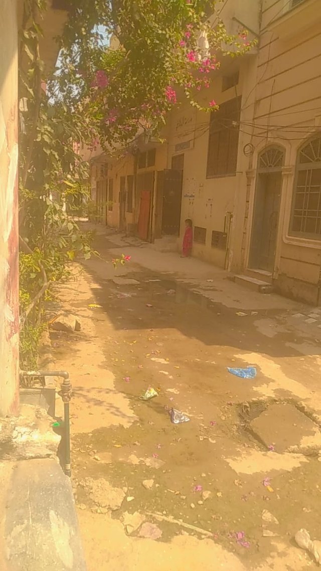 WhatsApp Image 2025-08-22 at 11.32.54 PM (1).jpeg