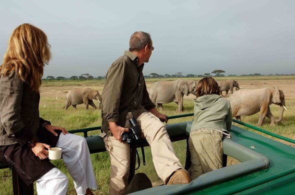 amboseli-serena-safari-lodge-game-drive-child-elephants-01-590x390.jpg