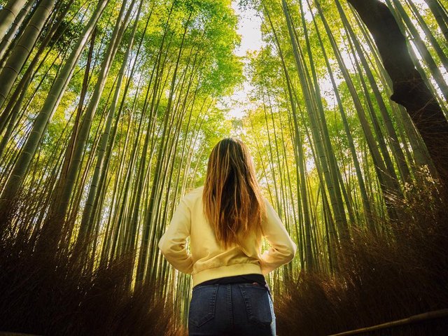 chongor-arashiyama-natsumi.jpg