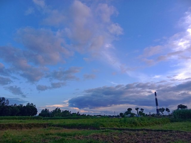IMG_20250809_202635.jpg