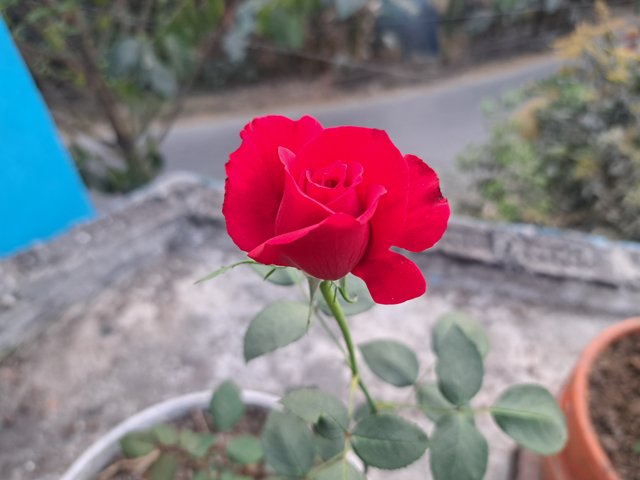 1000020713.jpg