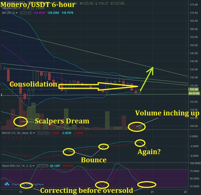 June 20 XMR T&A.jpg