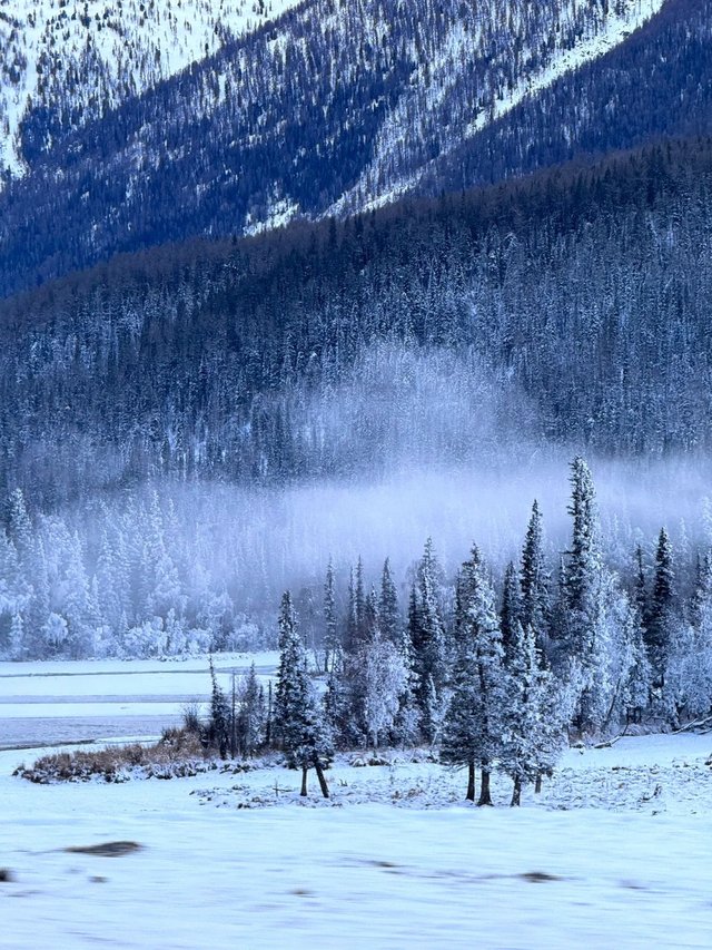 Xinjiang in winter is a fairyland on earth.jpg