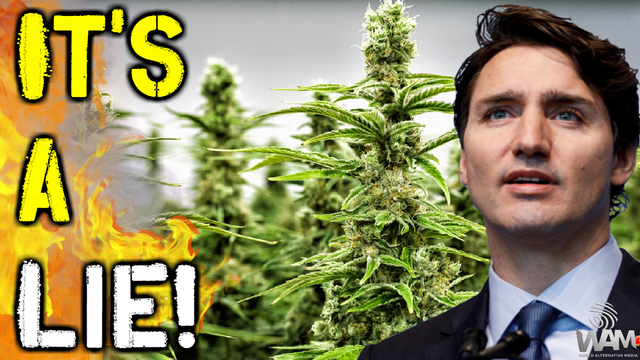 cannabis legalization is a lie thumbnail.png