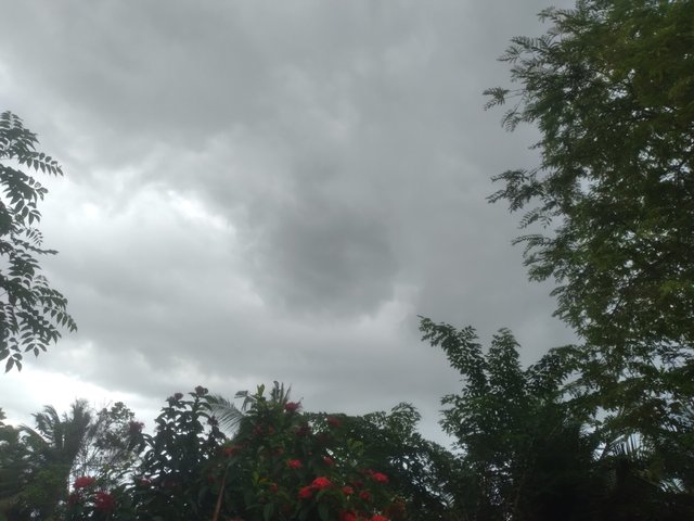 20250607_165717.jpg
